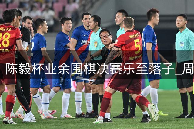 陈毅杯业余围棋决赛乐至落子 周振宇夺冠
